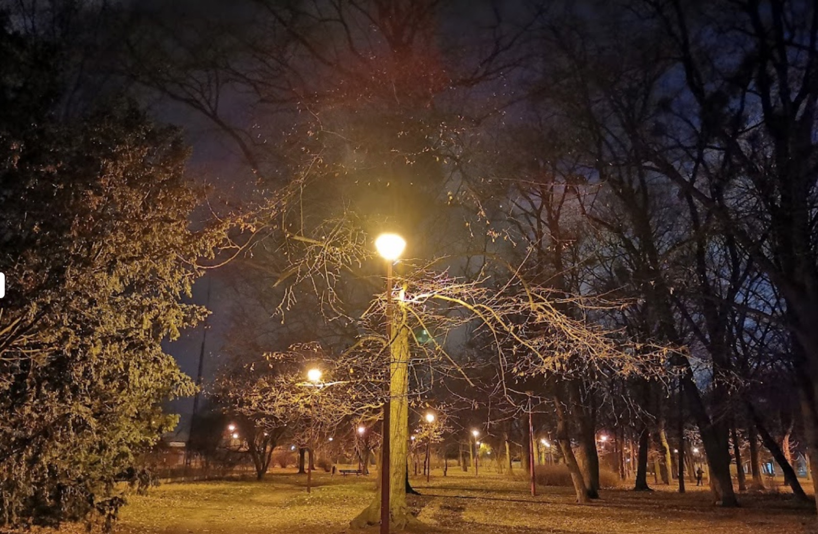 Wrocław park at night under streetlights