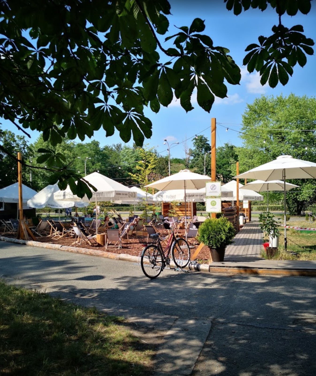 Outdoor café terrace under trees in Wrocław
