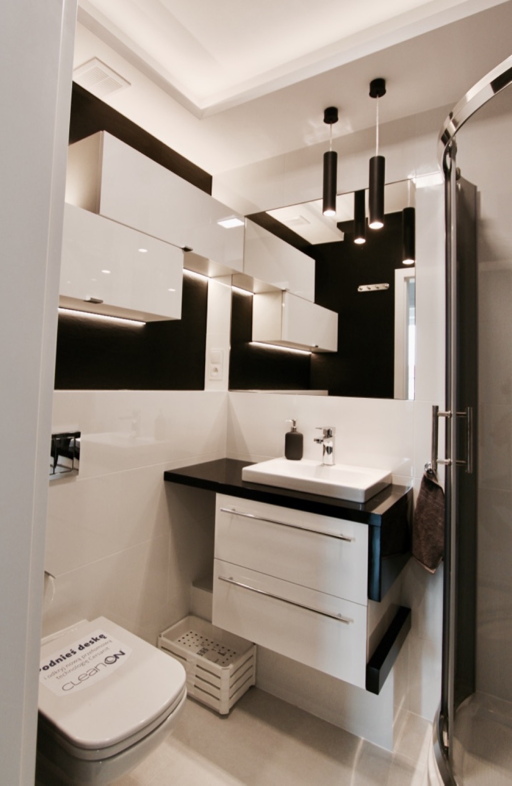 Bathroom vanity, toilet and shower in the Widok apartment