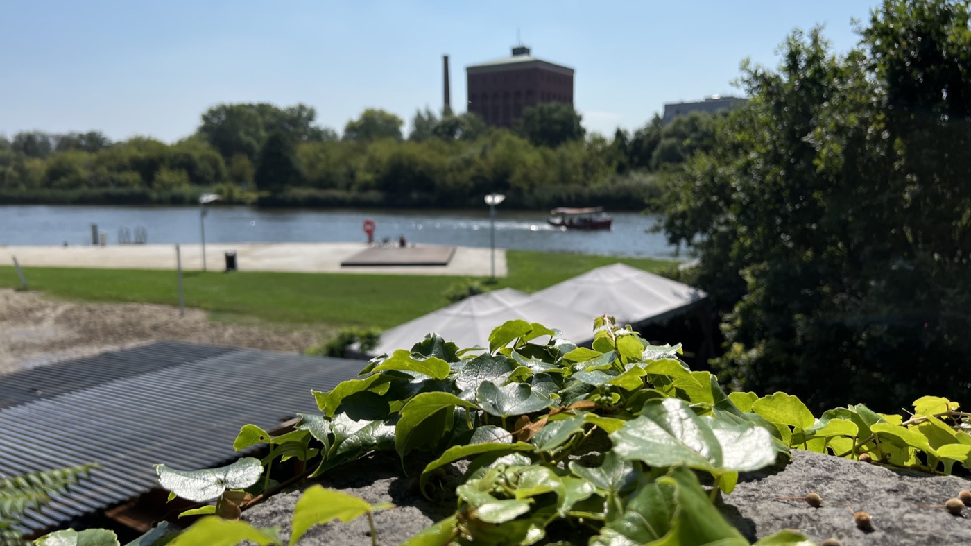 A leafy view over the river